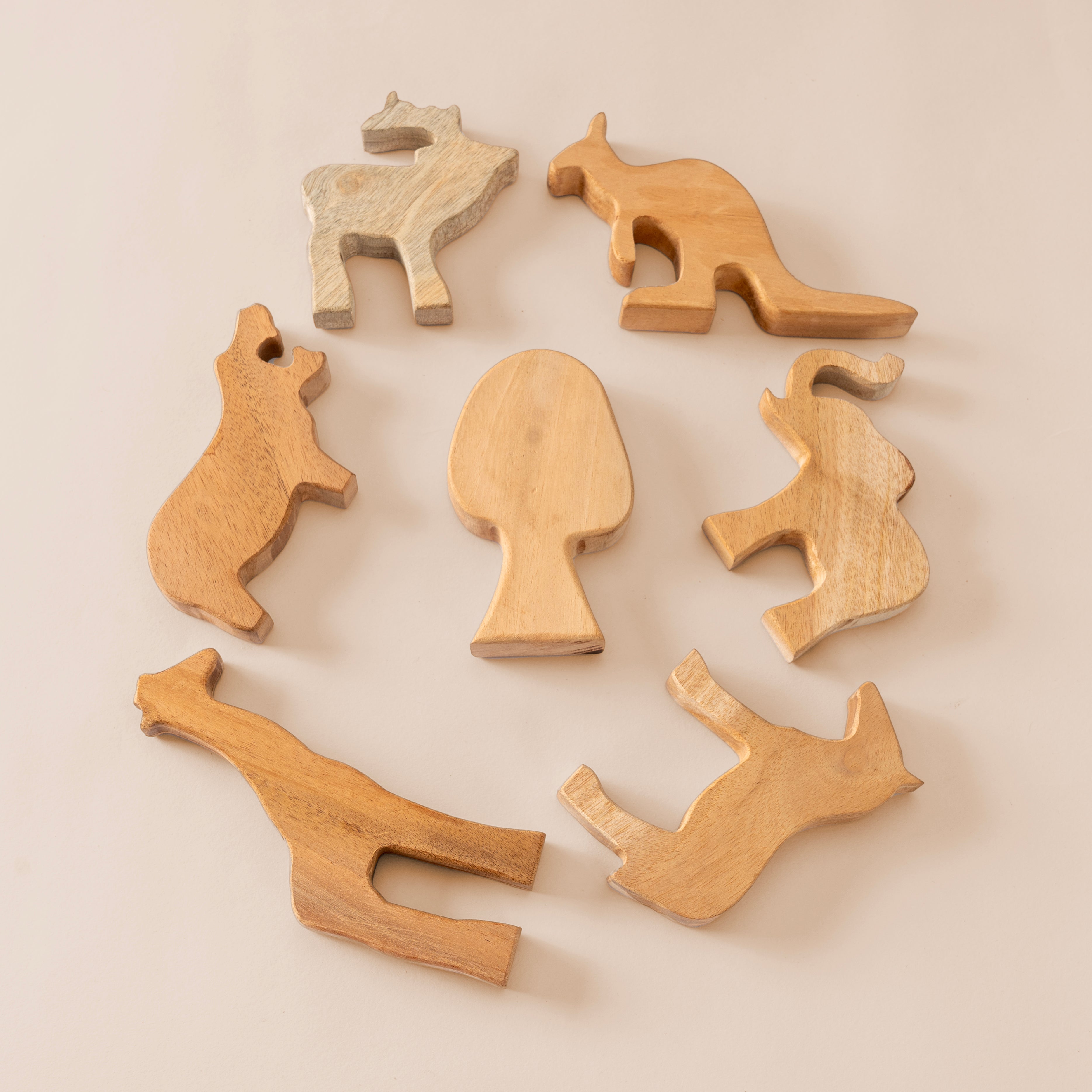 Mini Zoo Paint & Play Kit