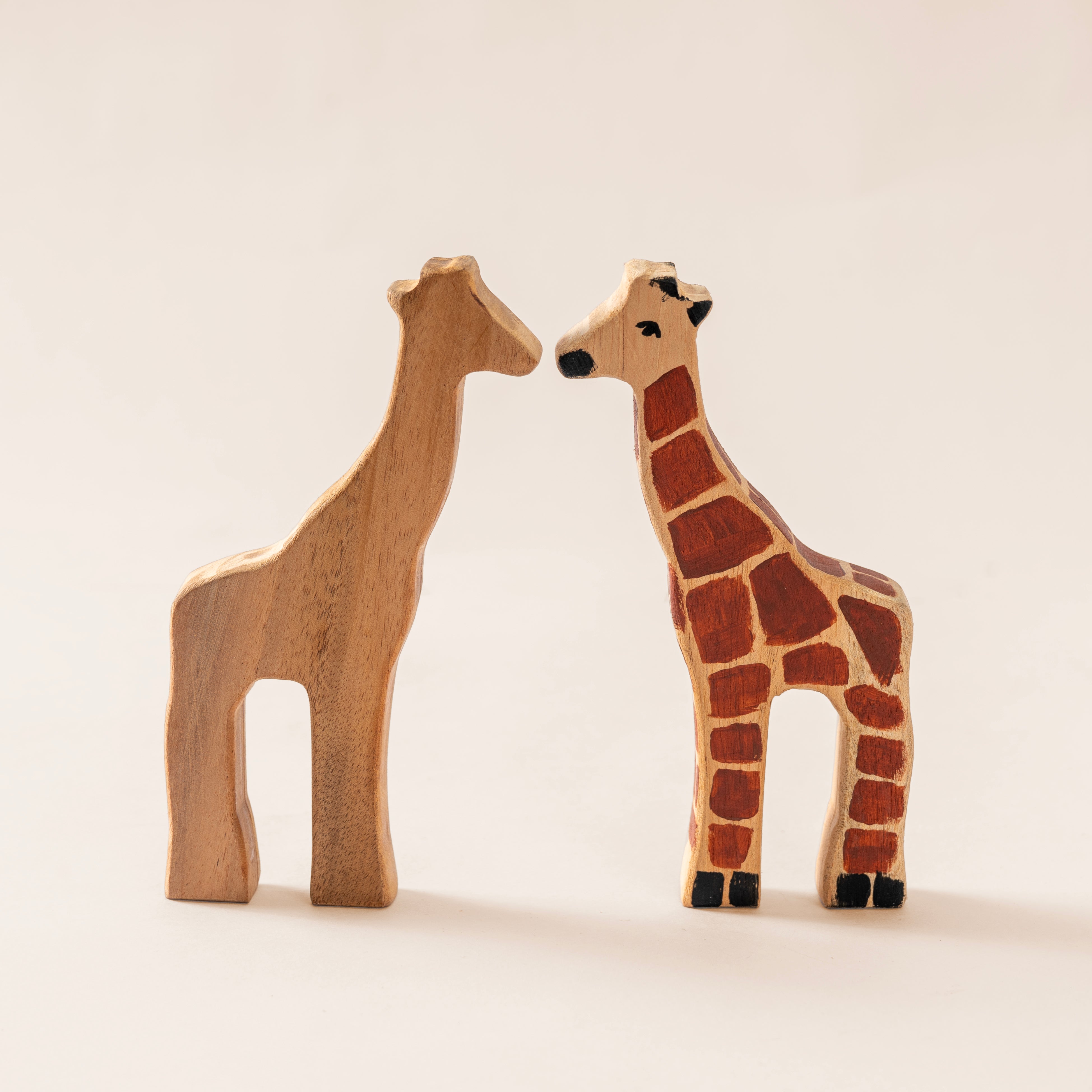 Mini Zoo Paint & Play Kit