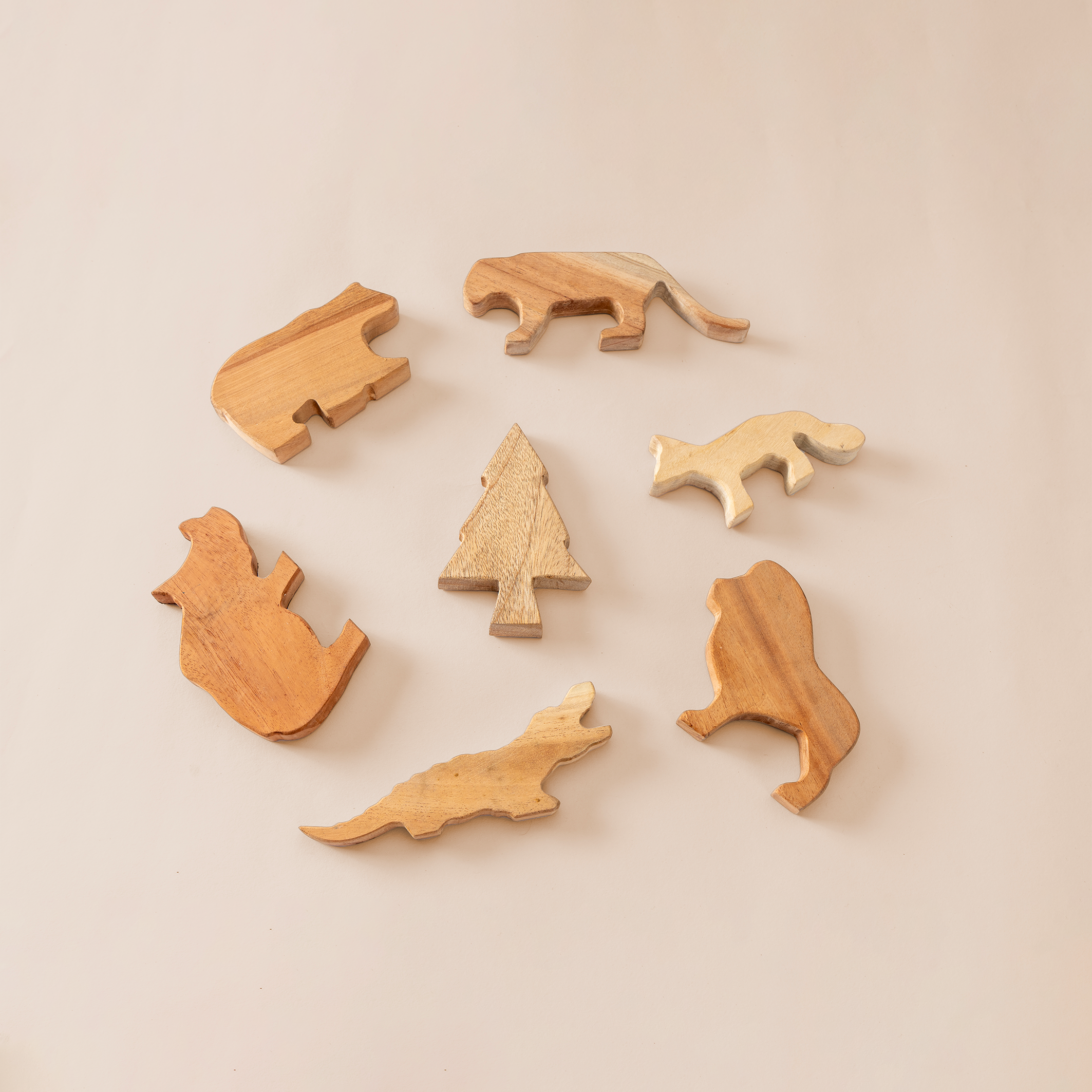 Mini Zoo Paint & Play Kit